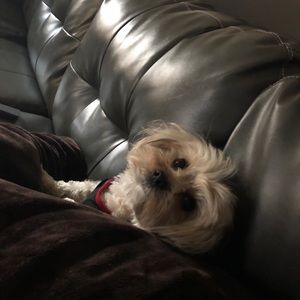 Meet your Posher, Mmonica